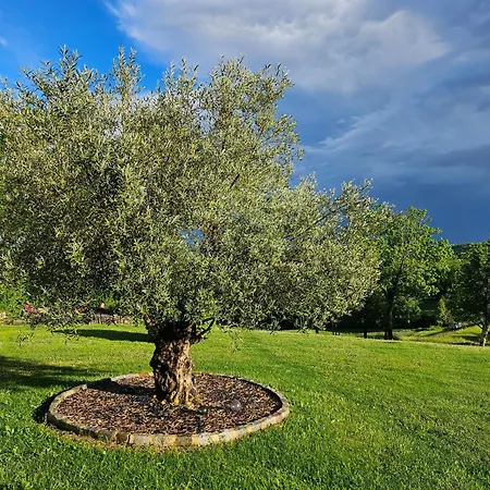 Le Du Souffle Des Anges 4* Sauveterre (Tarn-et-Garonne)