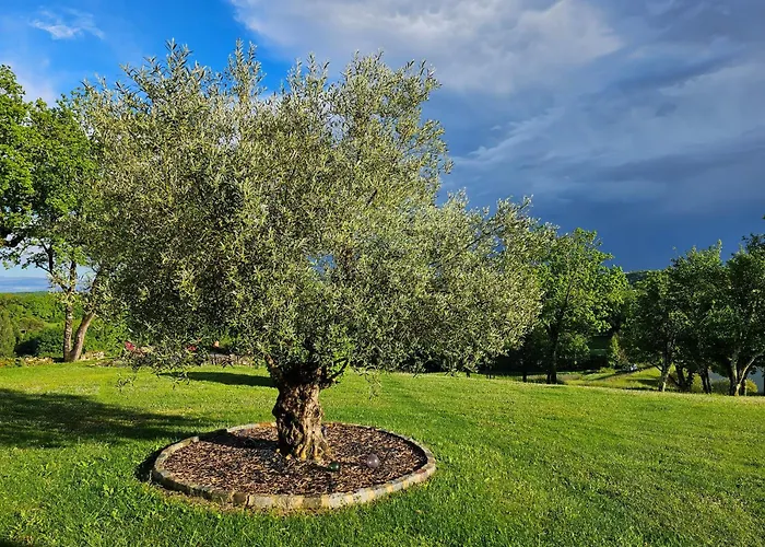 Le Du Souffle Des Anges 4* Sauveterre (Tarn-et-Garonne)